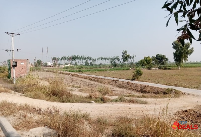 125 Kanal High Demand for Housing Society and Farm House image 2