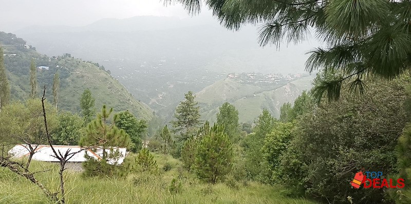 Cheapest Plots For Sale In Muree Near Gloria Jean's limited plots avai image 1
