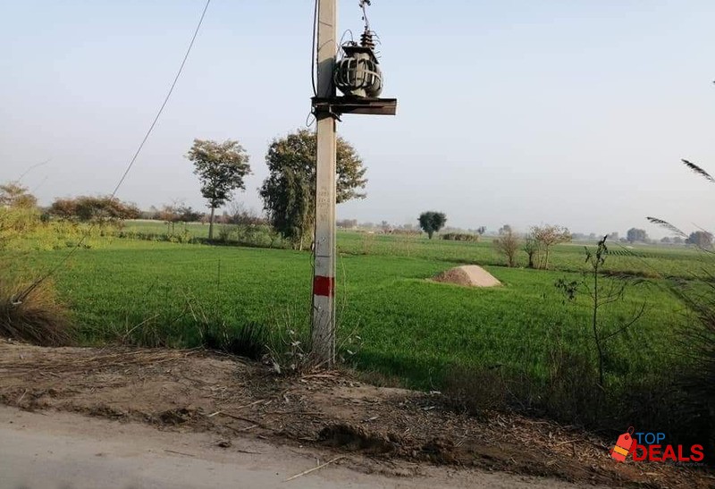 چک 362 ج ب کوریاں گوجرہ پینسرہ روڈ 4.5 کنال (89 مرلہ) زرعی اراضی بر image 1