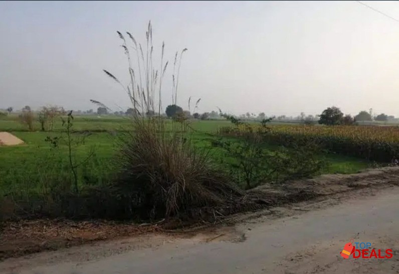 چک 362 ج ب کوریاں گوجرہ پینسرہ روڈ 4.5 کنال (89 مرلہ) زرعی اراضی بر image 3