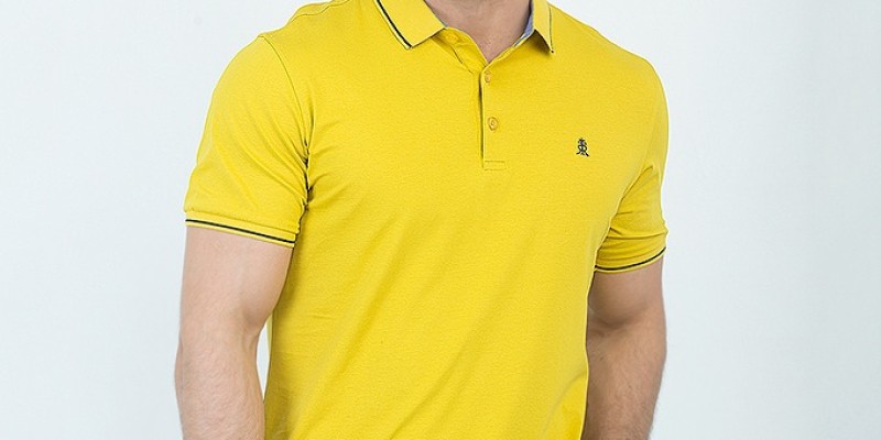 Avail FLAT 50% OFF on Polo T-shirts at Oxford Garments 3 