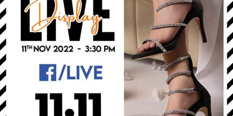 Insignia 11.11 Sale Flat 20% & 50% Off 3 