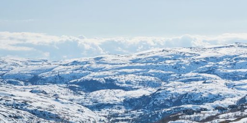 30% Discount at DHL With Alied Bank 3 