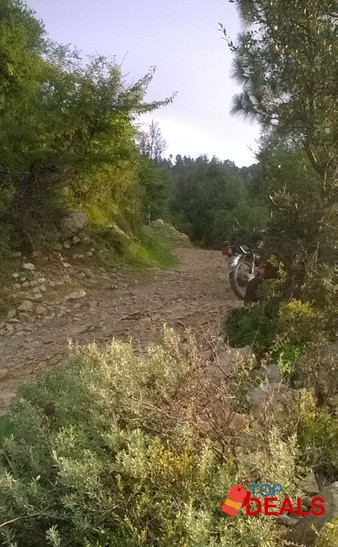 PLOT FOR SALE IN BANIGALA image 3