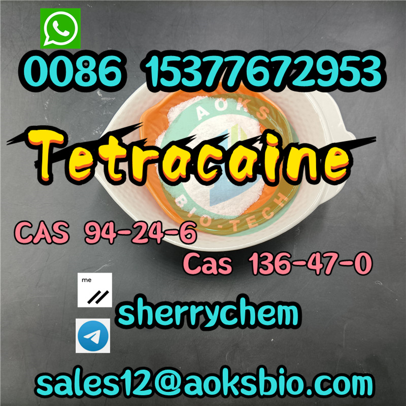 Tetracaine Powder CAS 94-24-6 Base Tetracaine with High Quality and Purityimage-19