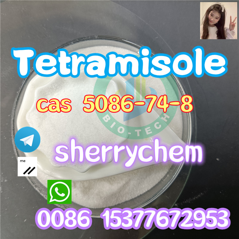 Buy Tetramisole hydrochloride CAS 5086-74-8 99% White Powderimage-17