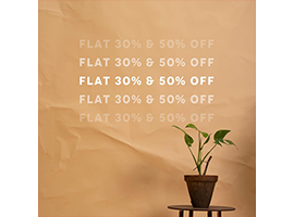 Beech Tree Flat 50% Offimage-795