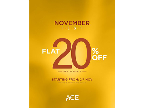 Ace Galleria November Feast Flat 20% Offimage-1032
