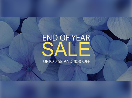 Sifona End Of Year Sale Upto 75% & 85% Offimage-1112